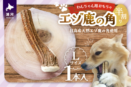 エゾ鹿の角 Lサイズ×1本(半割)[54-1367]