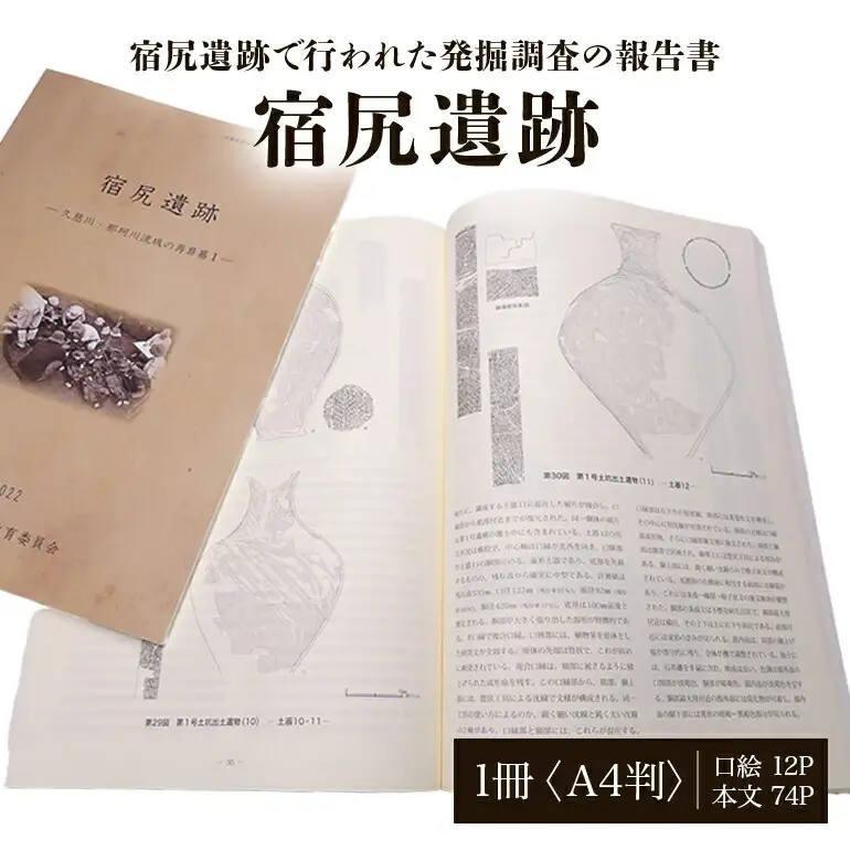 宿尻遺跡 1冊 弥生時代 考古学 遺跡 【歴史】【ho1309】
