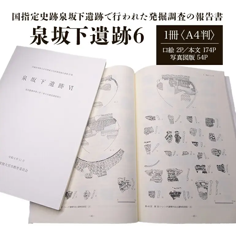 泉坂下遺跡6 1冊 弥生時代 報告書 考古学 【歴史】【ho1314】