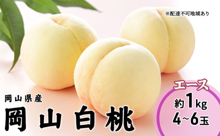 桃 2026 年先行予約 岡山 白桃 エース 4～6玉 1kg 岡山