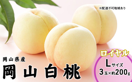 桃 2026年 先行予約 岡山 白桃 ロイヤル 3玉×200g（Lサイズ） 岡山