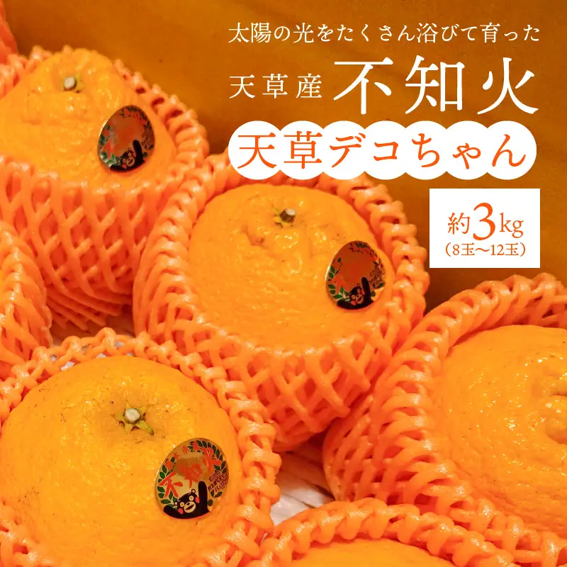 S153-001_天草産 不知火 約3kg