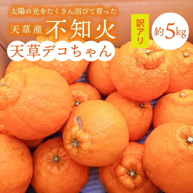 S153-002_天草産 訳あり 不知火 約5kg