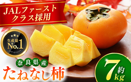 ★拓也★　たねなし柿　11kg2箱 大人気！ リピーター多数！ たねなし 柿 約7kg箱 （24～30個入）| 西岡
