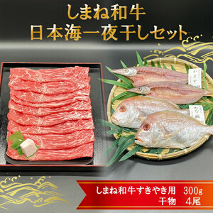 しまね和牛肉・日本海一夜干しセット