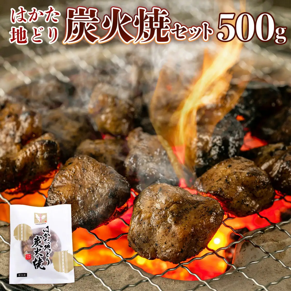 はかた地どり 炭火焼 セット100g 5p 計500g [MEAT PLUS 福岡県 宇美町 um40azp010031]