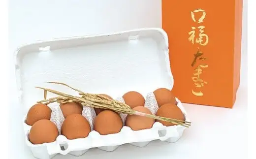 BA006 マツコの知らない世界で紹介！ 口福たまご（10個入） ※規格サイズMS以上～LL未満 [ 長崎県 島原市 ]