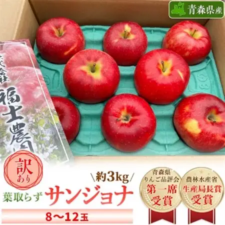 「葉とらずサンジョナ」約3kg・訳あり家庭用りんご_果物・フルーツ りんご  リンゴ 林檎_【配送不可地域：離島・沖縄県】【1491235】