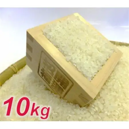 【令和7年産】お米マイスター厳選 一等米コシヒカリ 精米 10kg【1486500】