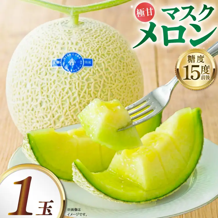 【期間限定発送】AB010 その道一筋の生産者がじっくり丁寧に育てた マスクメロン 1玉入