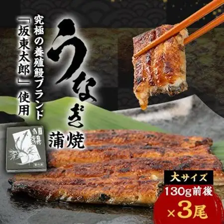 天然 に近づけた究極の養殖 鰻「坂東太郎 使用」 うなぎ 蒲焼 大サイズ 130g前後×3尾【配送不可地域：離島】【1488900】