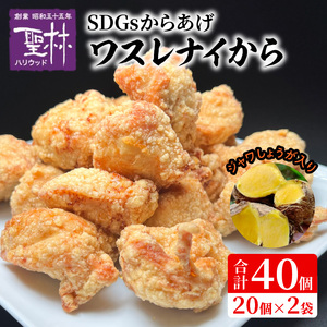 【からあげ聖林】SDGsからあげ「ワスレナイから」ジャワしょうが入り（40個） _KH5306