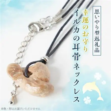 【思いやり型返礼品】イルカの耳骨ネックレス《限定10個》【1486472】