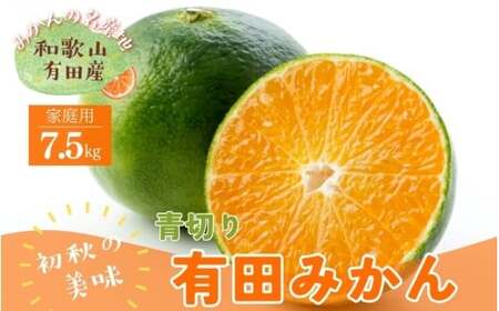 【先行予約】有田育ちのご家庭用青切り有田みかん　約7.5kg+200g(傷み補償分)【2026年9月中旬～10月上旬頃に順次発送予定】【ard146B】