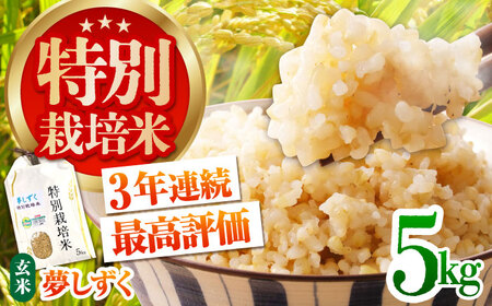 令和7年産 特別栽培米「夢しずく」玄米5kg [HAG031]