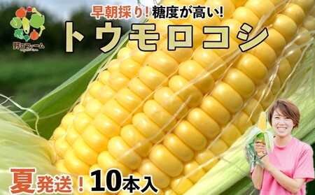 【令和８年産】早朝採りトウモロコシ10本セット　◆配送６月下旬～７月頃