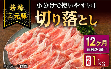 【12回定期便】若楠三元豚 切り落とし 1kg /ナチュラルフーズ [UBH076] 切り落とし
