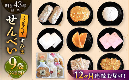 【12回定期便】せんべい バラエティ詰合せ 8種 計9袋 /恵比須堂 [UBQ004] 煎餅