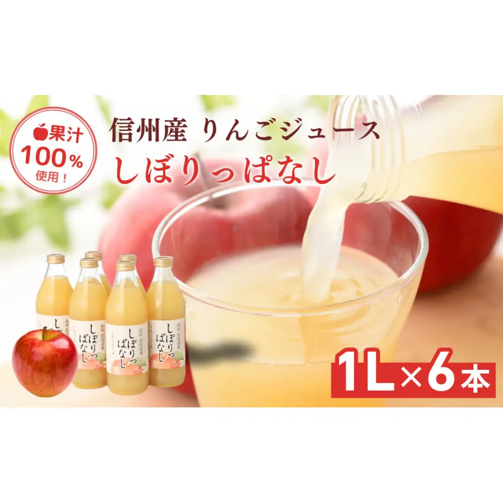 信州産 りんごジュース 「しぼりっぱなし」 果汁100％ (1L×6本)