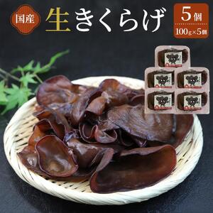 生きくらげ 5個（100g×5）