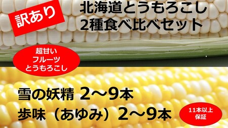 訳あり 北海道 とうもろこし 2種類 合計11～12本 食べ比べセット 雪の妖精（ホワイトコーン）2～9本、あゆみ（歩味、バイカラー）2～9本 期間限定 数量限定 トウモロコシ