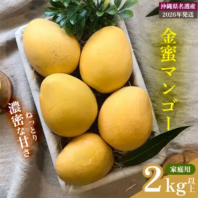 【2026年 先行予約 数量限定】金蜜マンゴー 家庭用 2kg以上 家庭用 先行予約 沖縄 甘味 糖度 濃厚 おいしい お土産 まんごー きんみつ ギフト プレゼント 果実 くだもの 果物 ふるさと納税 送料無料 トロピカル 名護市 フルーツ