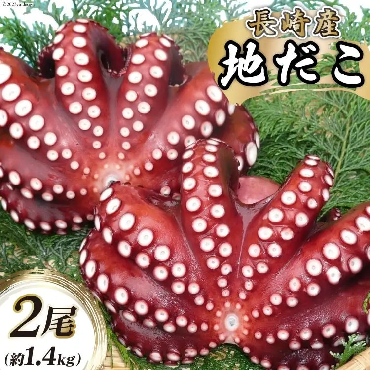 CB044 長崎産 地だこ2尾(約1.4kg)