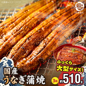 G7311_大型サイズ ふっくら柔らか 国産うなぎ 蒲焼き 3尾 (約6人前) 化粧箱入