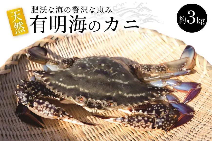 BA061 天然の好漁場・肥沃な海の贅沢な恵み 有明海のカニ [長崎県 島原市]