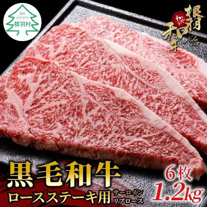 国産黒毛和牛 ロースステーキ用 サーロイン・リブロース 6枚 1.2kg (200g×6) 根羽こだわり和牛 ロースステーキ用 ステーキ 霜降り 40000円 