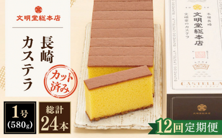 【全12回定期便】「こだわりの逸品」長崎カステラ［2号] 計24本（1号10切入×2本入/回）【文明堂総本店】[QAU025]