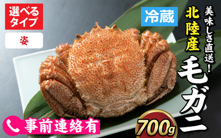 【毛ガニ】姿 北陸産 毛ガニ 700ｇ 前後 1杯 オス [D-028007_01]