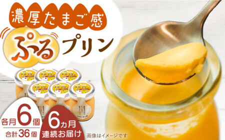 【全6回定期便】【卵が濃い！】たまごやさんのぷるプリン (濃厚仕立て) 6個入/回【ぷるたま工房】[QBB003]