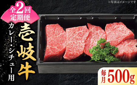 【全2回定期便】 特選 壱岐牛 すね肉 500g（カレー・シチュー用）《壱岐市》【太陽商事】 肉 牛肉 黒毛和牛 ブランド牛 カレー シチュー 赤身 チマキ 煮込み ブロック 国産 九州[JDL127] 九州