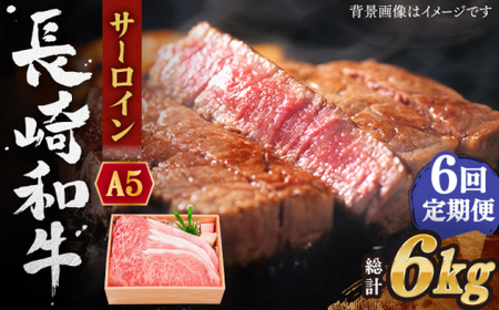 【全6回定期便】長崎和牛 サーロイン ステーキ 総計6.0kg (1.0kg/回)【株式会社 OGAWA】[QBI013]