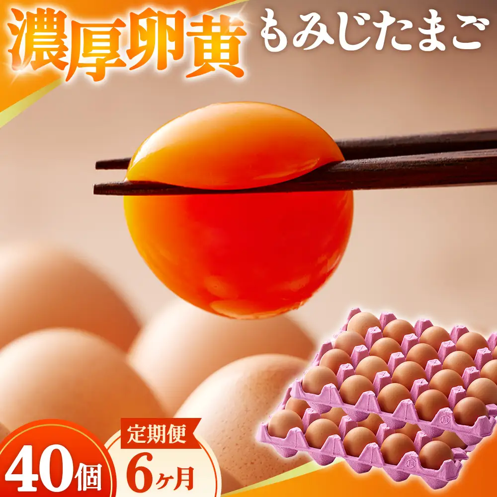濃厚卵黄もみじたまご【40個入り】【6ヶ月連続】定期便 [No.936]
