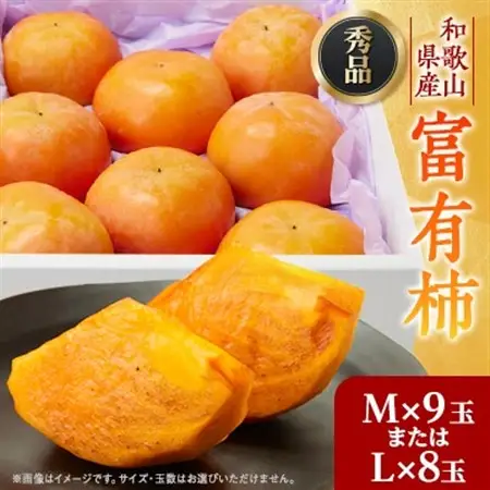 【先行予約】匠果樹園 富有柿【秀品】白紫箱 MまたはLサイズ【2026年11月～12月発送】_果物・フルーツ 柿（カキ）  かき_【1473501】