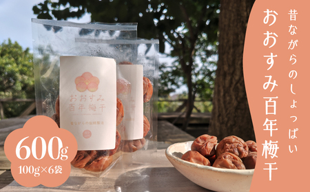 2404 昔ながらの しょっぱい おおすみ 百年 梅干 600g （ 100g×6袋 ） 塩分20% 小分け KN093-001-02 
