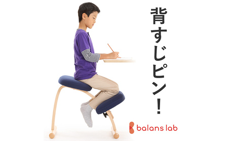 椅子 バランスイージー カバーなし 選べる フレーム カラー 姿勢矯正 インテリア 家具 通常ブラック