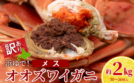 訳あり オオズワイガニメス (約100-200g前後)  浜ゆで 2kg (10～20尾入) AS174