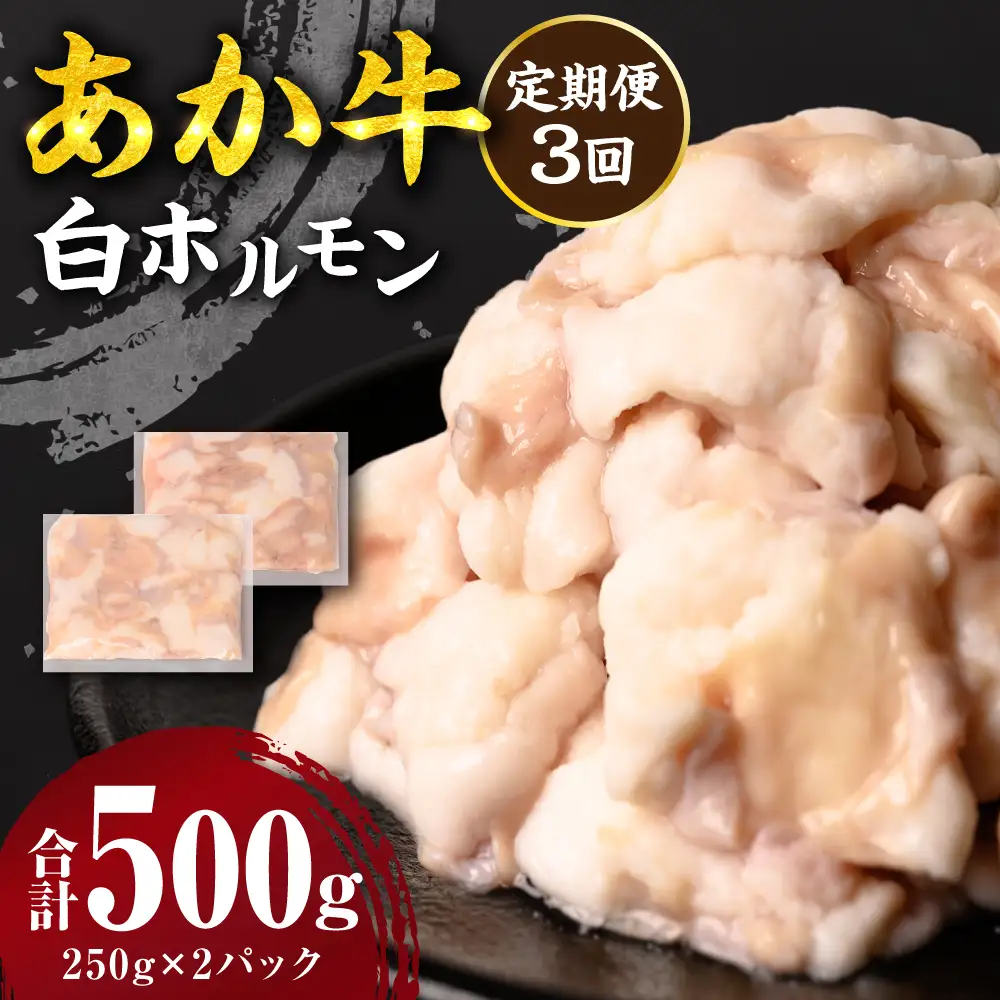【定期便3回】 あか牛 白ホルモン 500g 250g×2パック