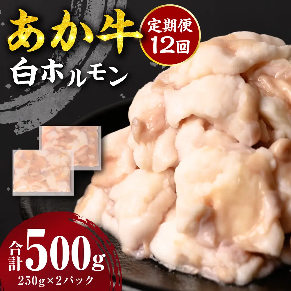 【定期便12回】 あか牛 白ホルモン 500g 250g×2パック