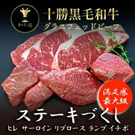 十勝姫 ステーキづくし 5種セット_肉 ステーキ 牛肉 ビーフステーキ  肉 黒毛和牛 牛肉 _【配送不可地域：離島】【1480637】