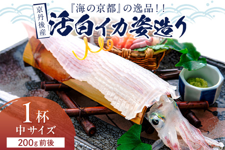 京丹後産『海の京都』の逸品！！　活白イカ姿造り（クリスタル白いか）中サイズ 1杯（200g前後）（2026年6月上旬～発送）