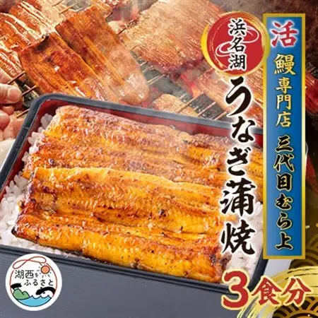 三代目むら上の職人手焼　浜名湖産鰻蒲焼120g(3枚)　たれ・山椒付き_うなぎ 鰻 蒲焼 浜名湖産 職人手焼 美味しい_【配送不可地域：離島】【1403763】
