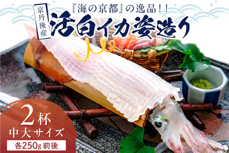 【先行予約】京丹後産『海の京都』の逸品！！　活白イカ姿造り（クリスタル白いか）中大サイズ 2杯（250g前後）（2026年6月上旬～発送）