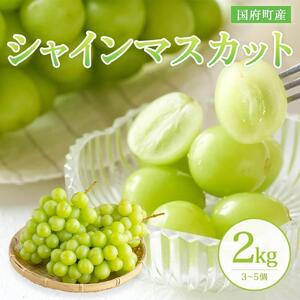 ［鳥取県産シャインマスカット］万葉のしずく 2kg【さんチョク】