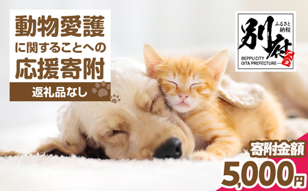 【返礼品なし】動物愛護に関することへの応援寄附(5,000円)_B001-043