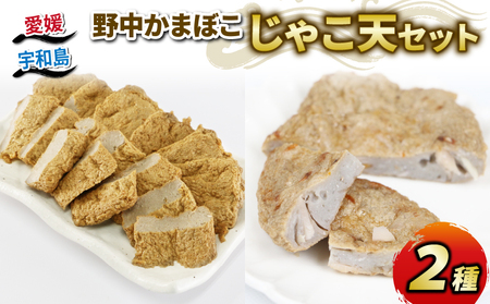 じゃこ天 2種 詰合せ セット 手押してんぷら 7枚 野菜てんぷら 5枚 野中かまぼこ店 C010-014003