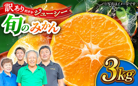 【先行予約】【訳あり】家庭用 みかん 約3kg 詰め合わせ 柑橘【合同会社 社方園】[ZBZ020]